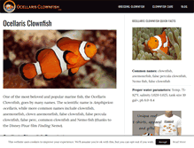Tablet Screenshot of ocellarisclownfish.com